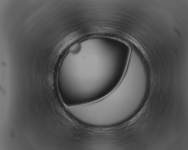 X0000091090826200708060957