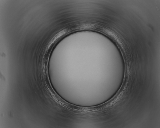 X0000091090827200708060957