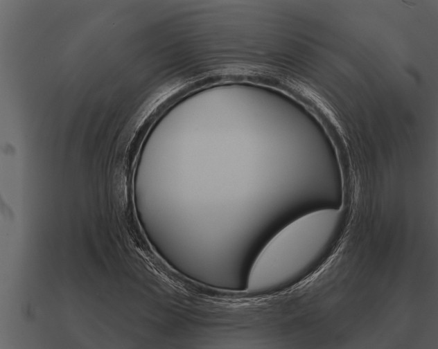 X0000091090829200708060957