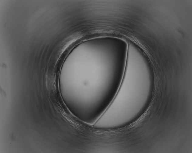 X0000091090830200708060957