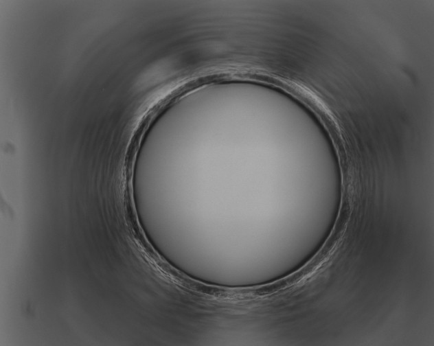 X0000091090831200708060957
