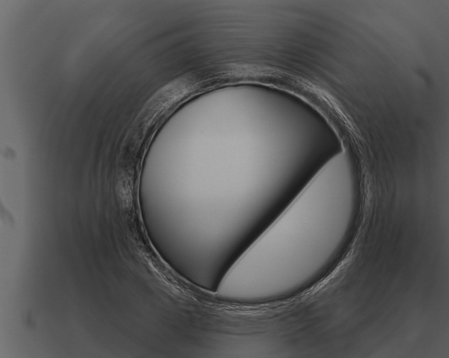 X0000091090833200708060957