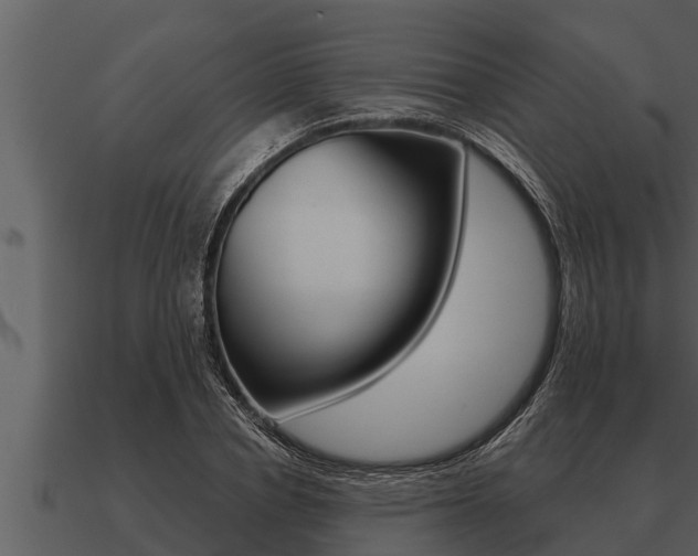X0000091090834200708060957