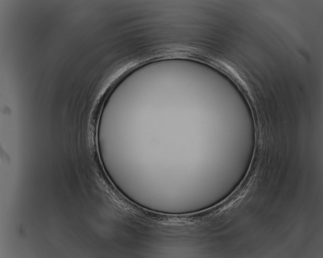 X0000091090835200708060957