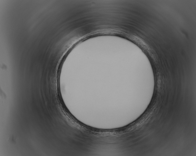 X0000091090836200708060957