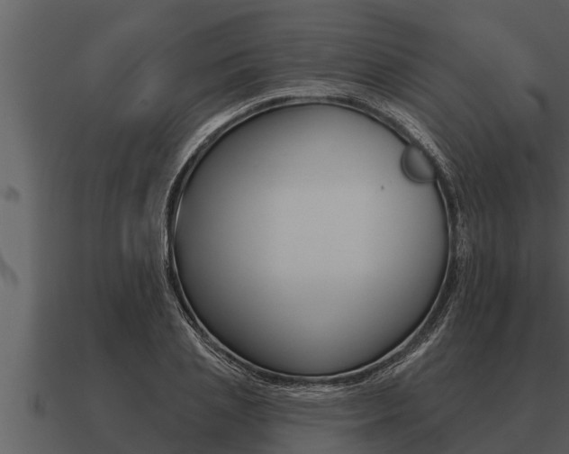 X0000091090837200708060957