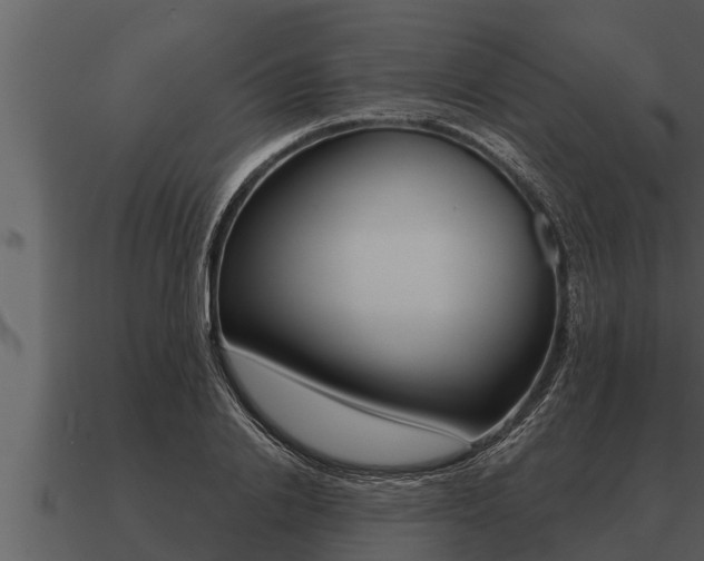 X0000091090838200708060957