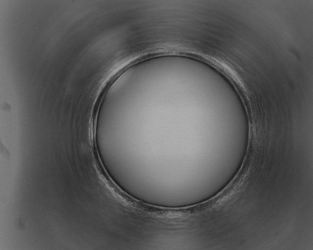 X0000091090839200708060957