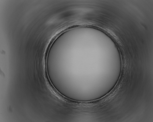 X0000091090840200708060957