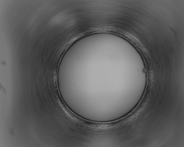 X0000091090841200708060957