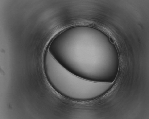 X0000091090843200708060957