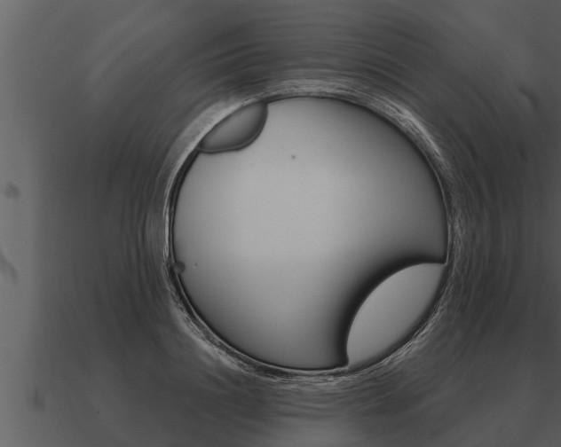 X0000091090844200708060957