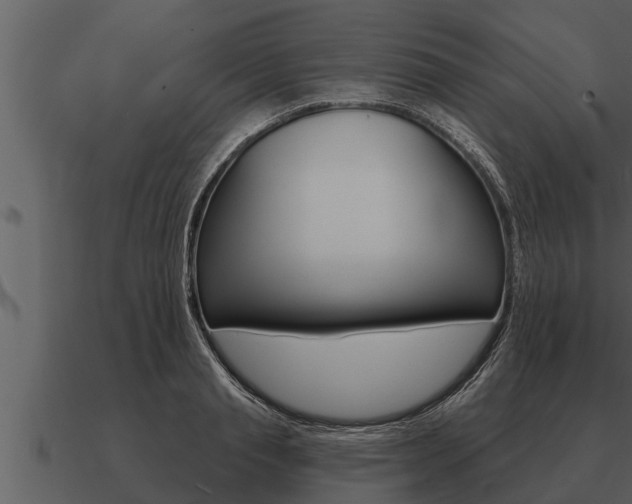 X0000091090845200708060957