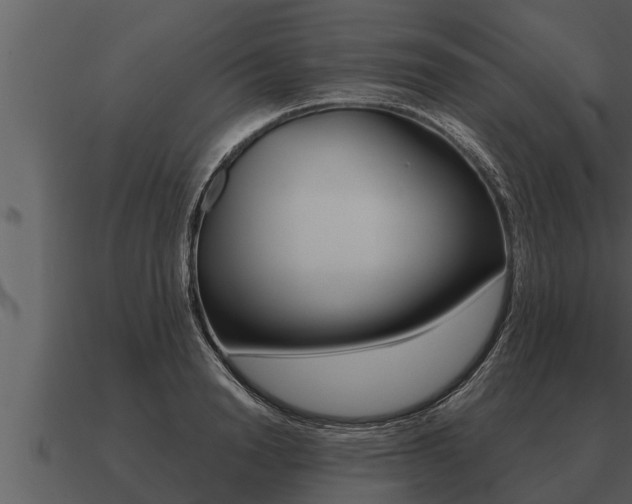 X0000091090846200708060957
