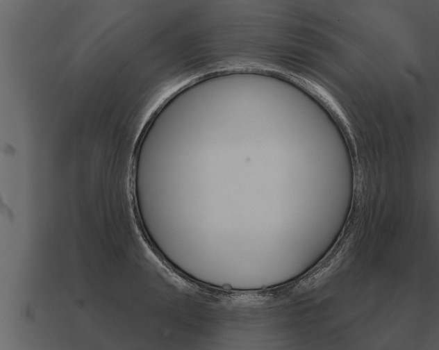 X0000091090847200708060957