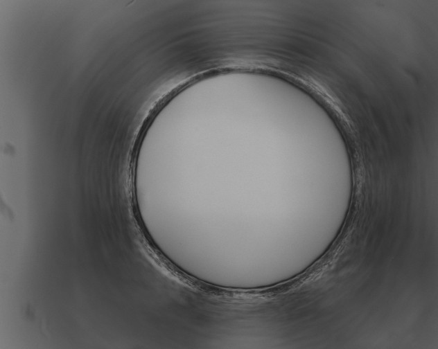 X0000091090848200708060957