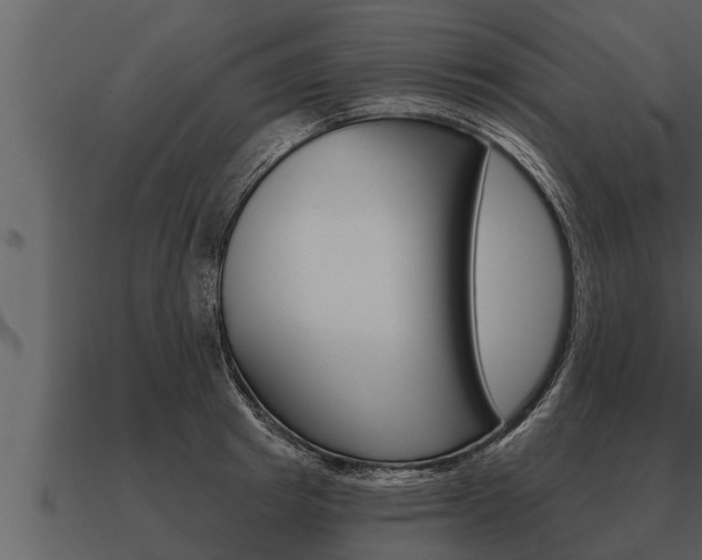 X0000091090849200708060957