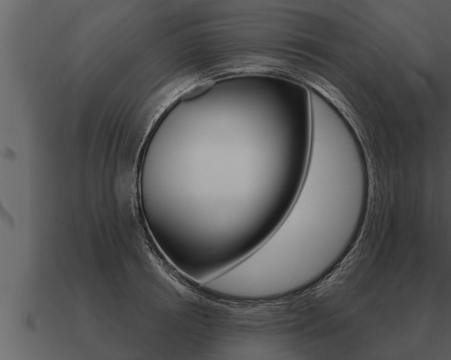 X0000091090850200708060957