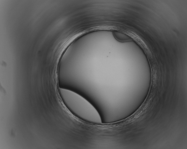 X0000091090852200708060957