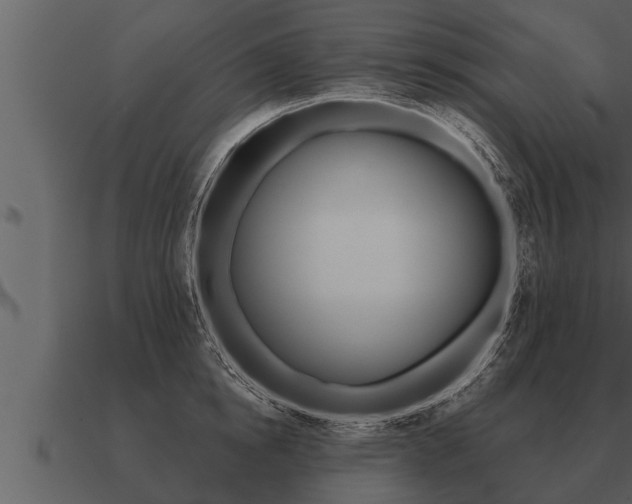 X0000091090854200708060957