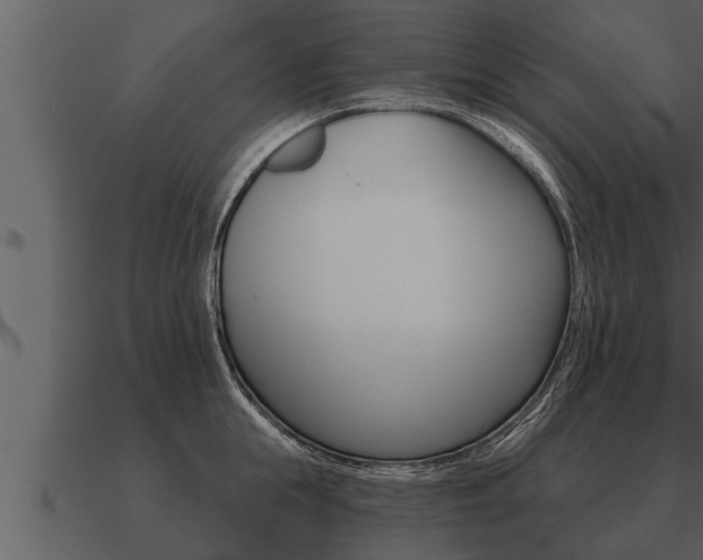 X0000091090855200708060957