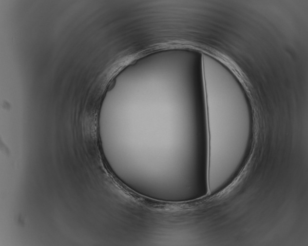 X0000091090857200708060957