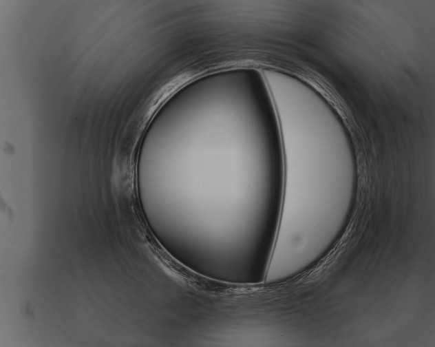 X0000091090858200708060957