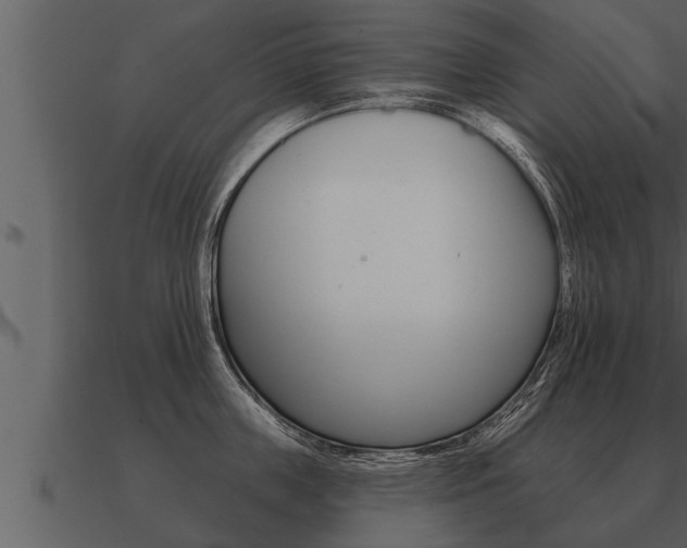 X0000091090859200708060957