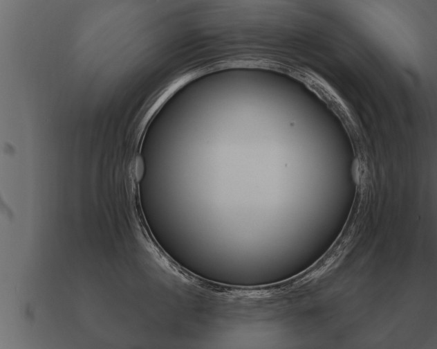X0000091090860200708060957
