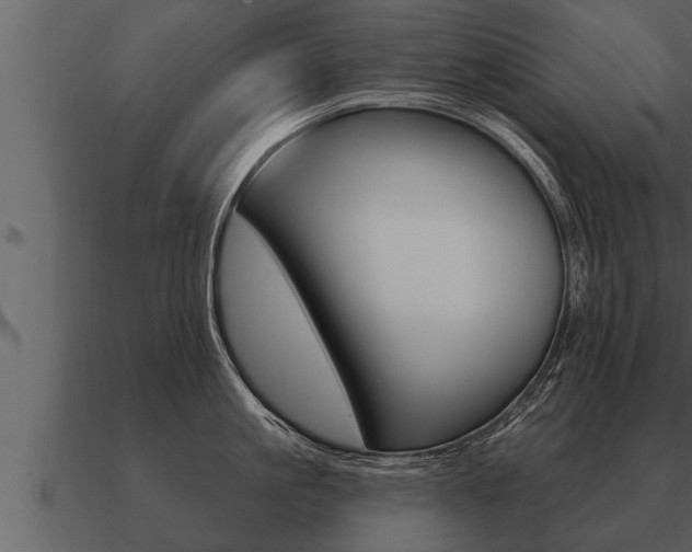 X0000091090861200708060957