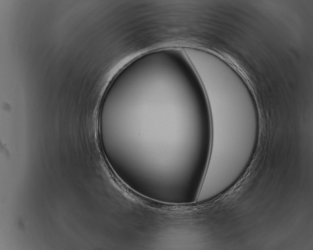 X0000091090862200708060957