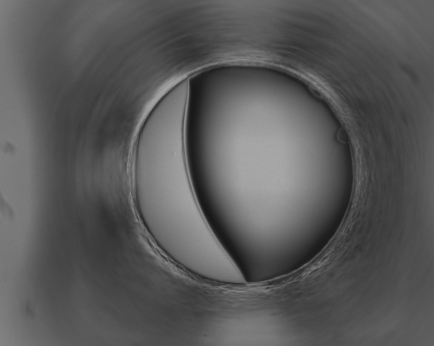X0000091090864200708060957