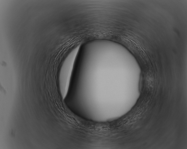 X0000091090865200708060957