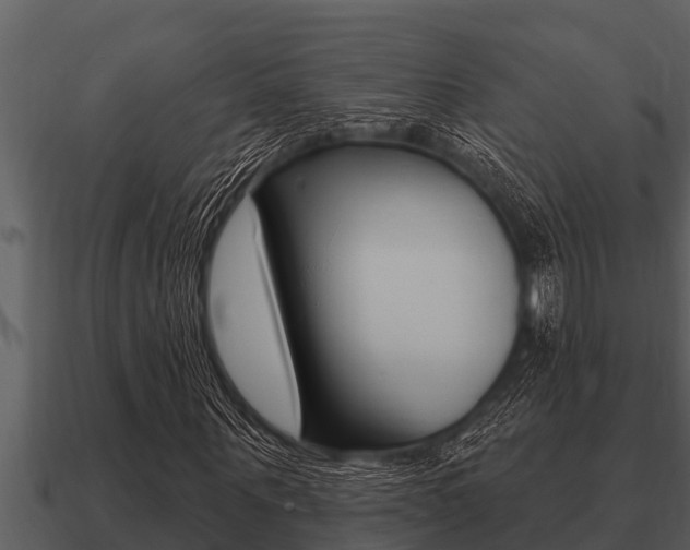 X0000091090867200708060957