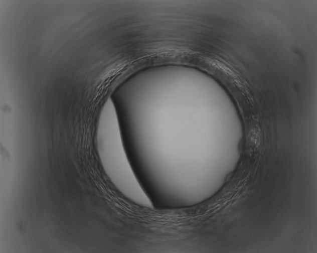 X0000091090869200708060957