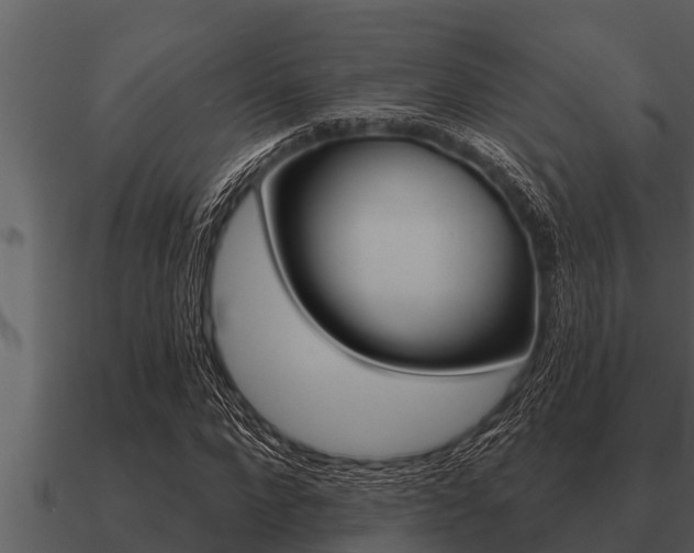 X0000091090872200708060957