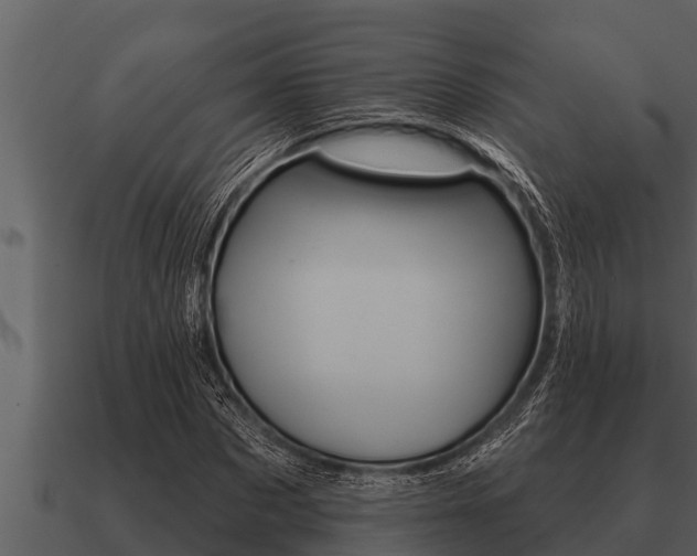 X0000091090873200708060957