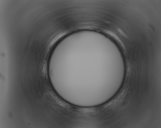 X0000091090874200708060957