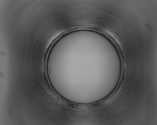 X0000091090875200708060957