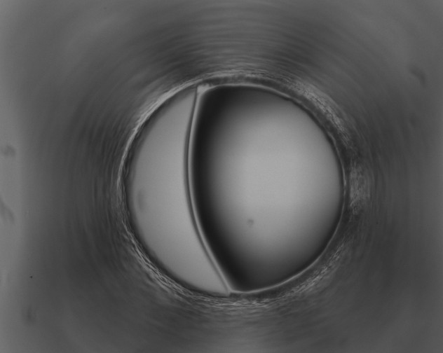 X0000091090876200708060957