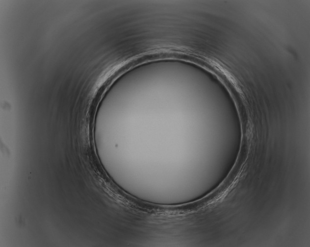 X0000091090877200708060957
