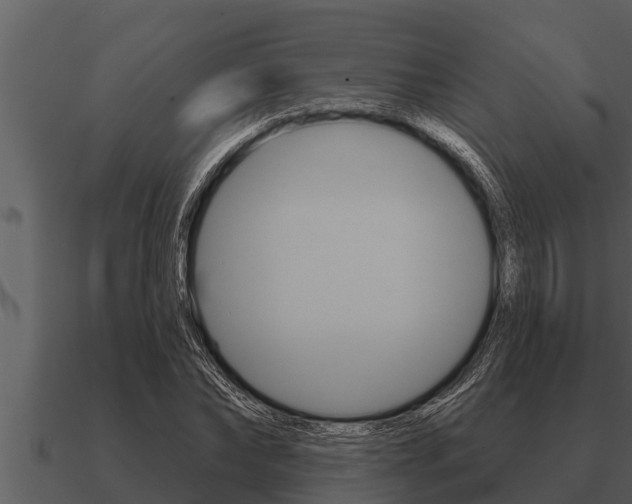 X0000091090878200708060956
