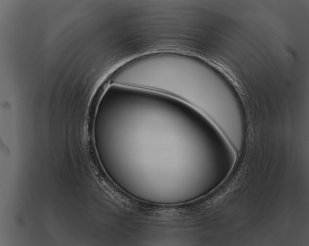 X0000091090880200708060956