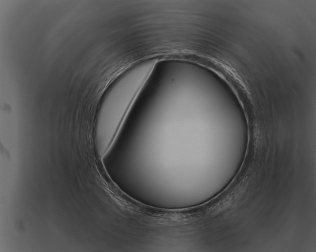 X0000091090881200708060956