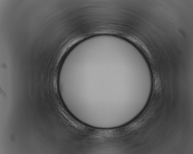 X0000091090882200708060956