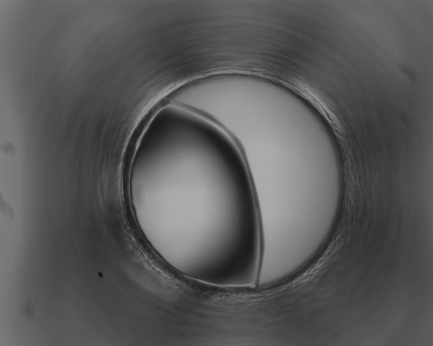 X0000091090884200708060956