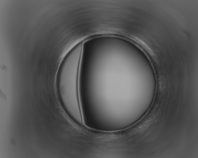 X0000091090885200708060956