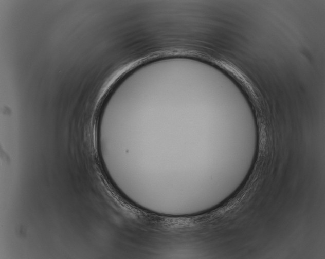 X0000091090886200708060956