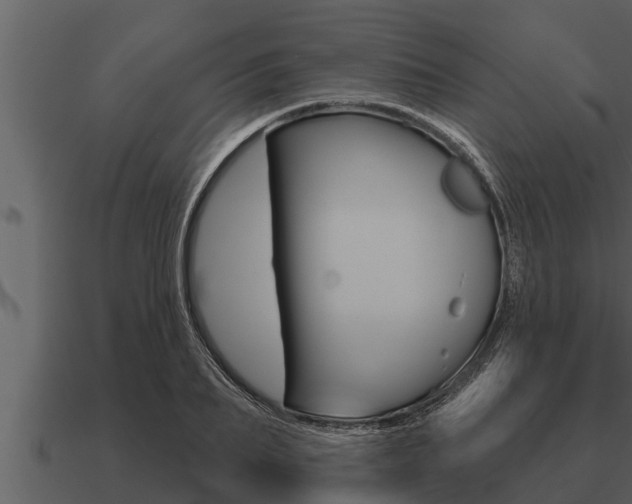 X0000091090887200708060956