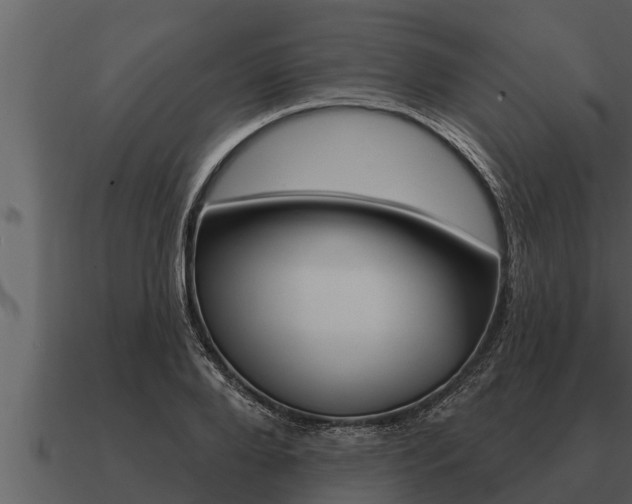 X0000091090888200708060956
